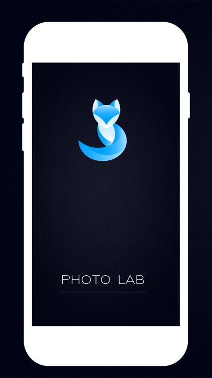 PhotoLab Grid & Photo Editor