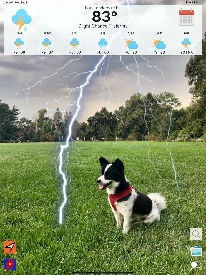 Hurricane Tracker Weather Pup