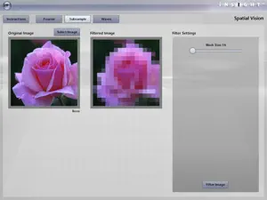 iNSIGHT Spatial Vision screenshot 3