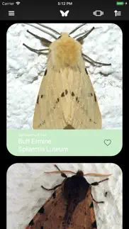 butterflies 2.0 iphone screenshot 1
