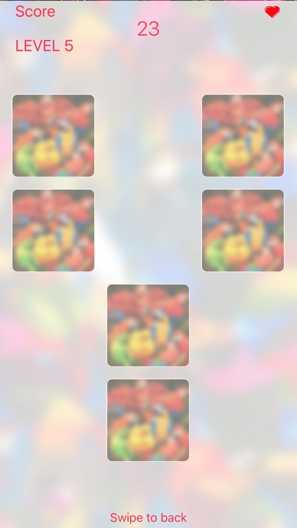 Parrots Card Game screenshot-5