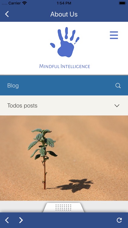 Mindful Intelligence