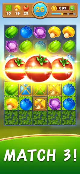 Game screenshot Fruit Jam - Match 3 toon hack