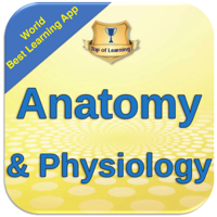 Anatomy and Physiology 4Apps In1