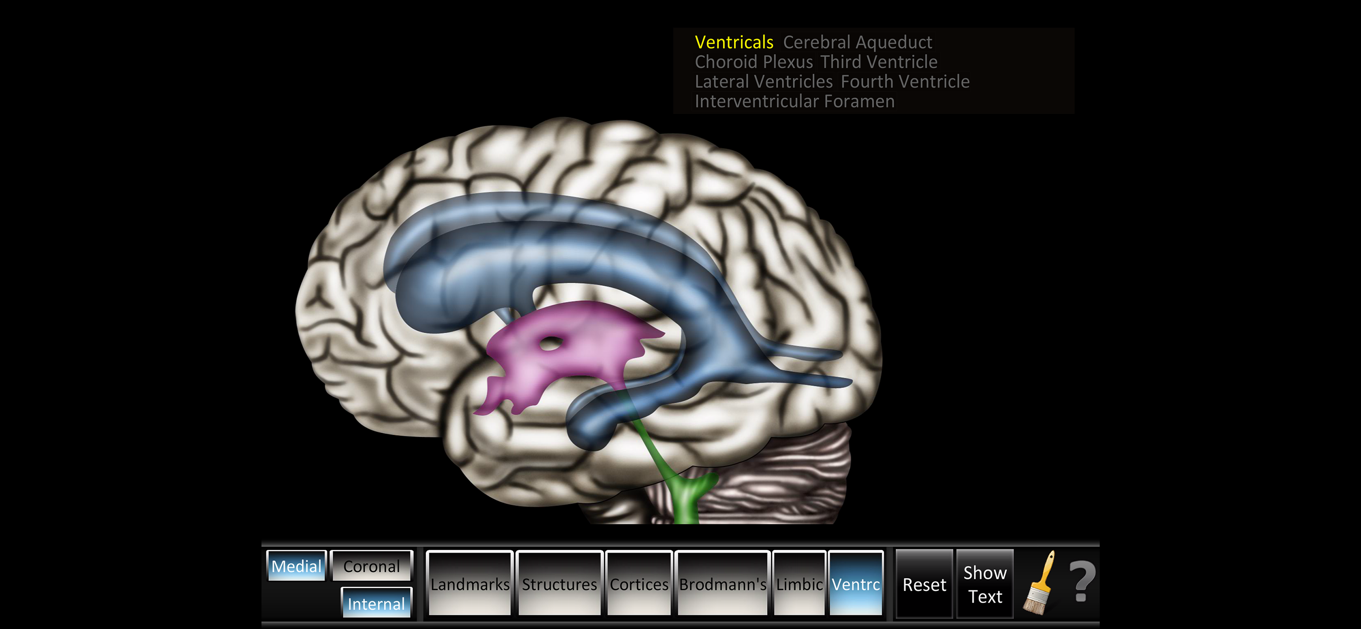 Cerebrum ID screenshot 5