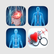 Medical Terminology Bundle