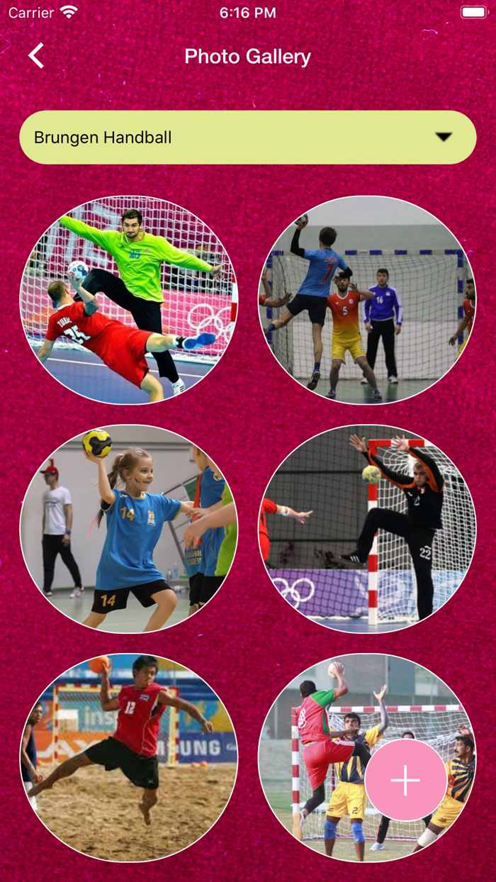 Danemini Handball