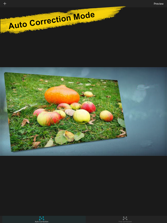 Photo Perspective Editor&Maker iPad screenshot 9 - Photo & Video app