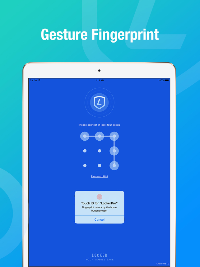 ‎Locker Pro - Password Manager Screenshot