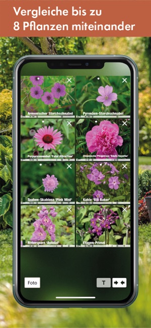 Der Garten-Profi(圖9)-速報App