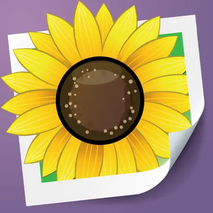 Photo Adjust Pro Читы