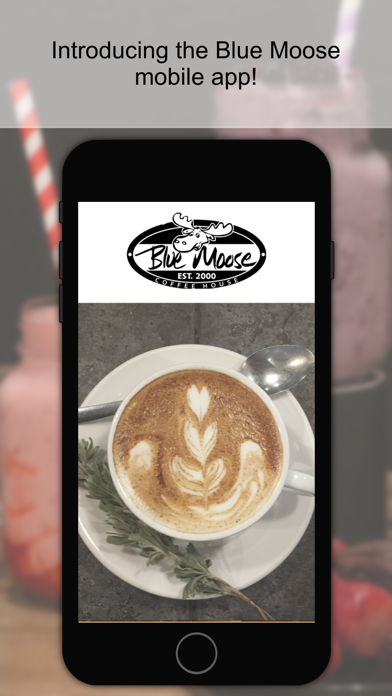Screenshot #1 pour Blue Moose Coffee