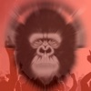 GorillaPlayer - Music Player