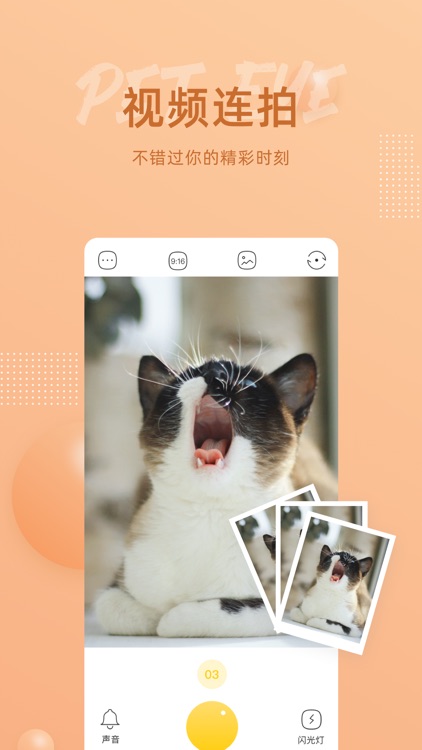 萌仔相机-猫狗萌宠gif拍照软件 screenshot-4