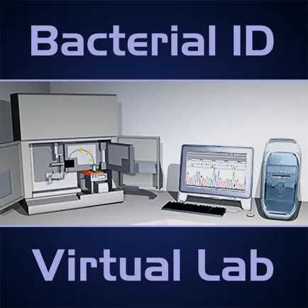Bacterial ID Virtual Lab Cheats