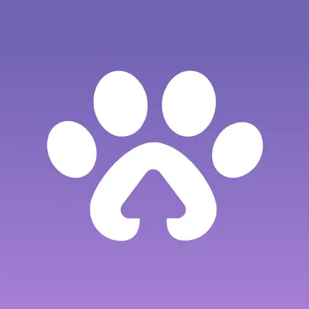 Paway: Meet Local Pet Parents Cheats