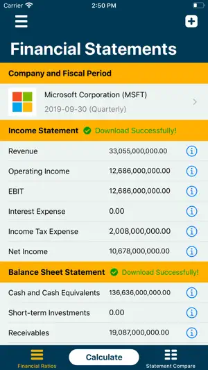 Financial Ratios Go: Analysis screenshot 1