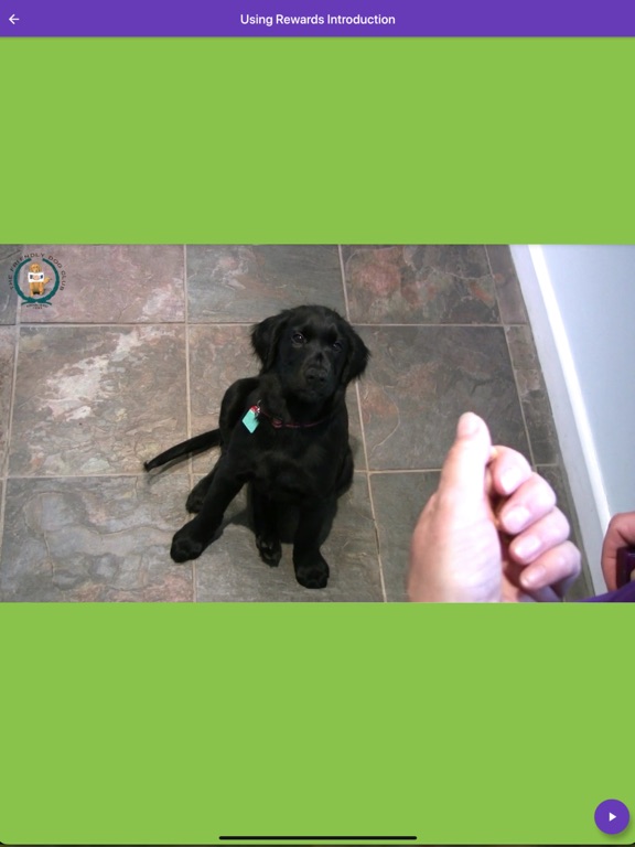Basic Dog Training iPad screenshot 4 - Lifestyle app