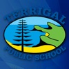 Terrigal Public School
