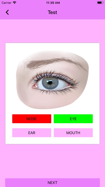 SmartLearnBodyParts screenshot-5