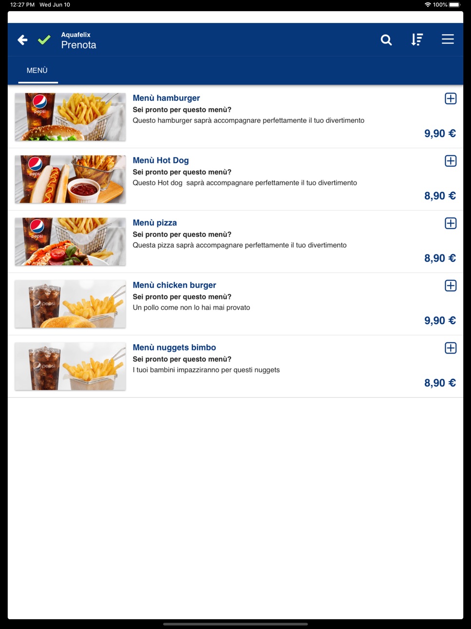 iPad screenshot