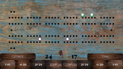 Crib Board screenshot 4