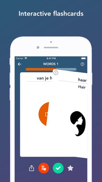 Tobo: Learn Dutch Vocabulary