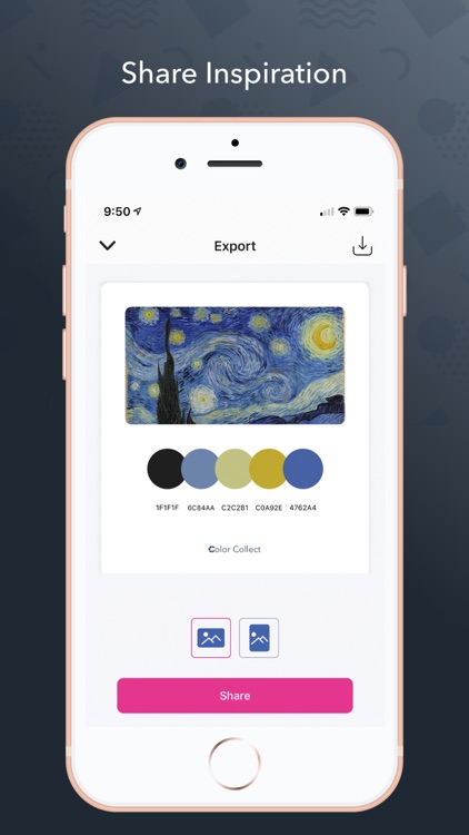 Color Collect - Palette Studio