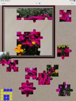 Game screenshot Jigsaw Puzzle Maker for iPad apk
