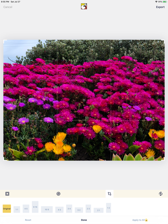 SquareDude - Square Fit Photo iPad screenshot 5 - Photo & Video app