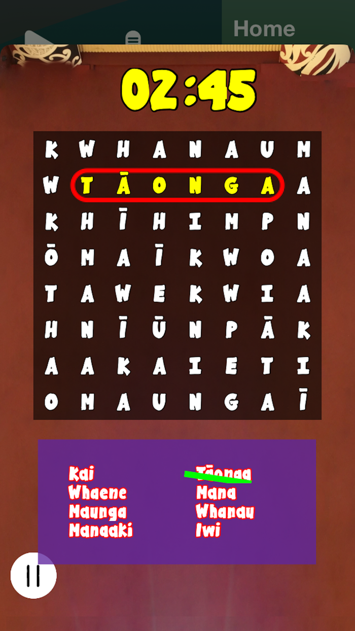 I AM Voices of Rangatahi