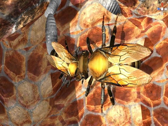 Screenshot #6 pour Bee Nest Simulator Full