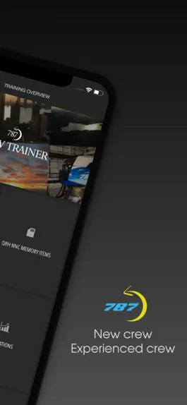 Game screenshot 787 Flow Trainer apk
