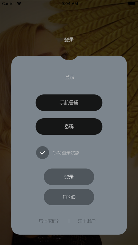 #1. 爱识别 (iOS) 由: Seyoung Electronics Inc.
