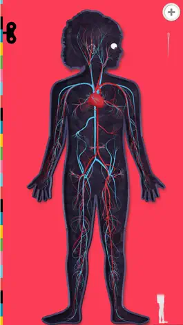 Game screenshot The Human Body Lite apk