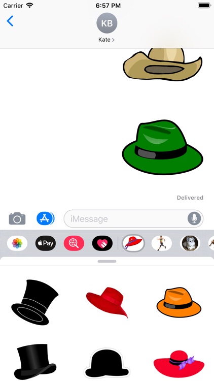 Hats Collection