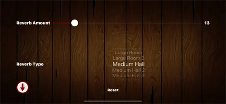 Mezquite Piano Accordion