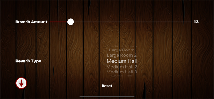 Mezquite Piano Accordion screenshot 5