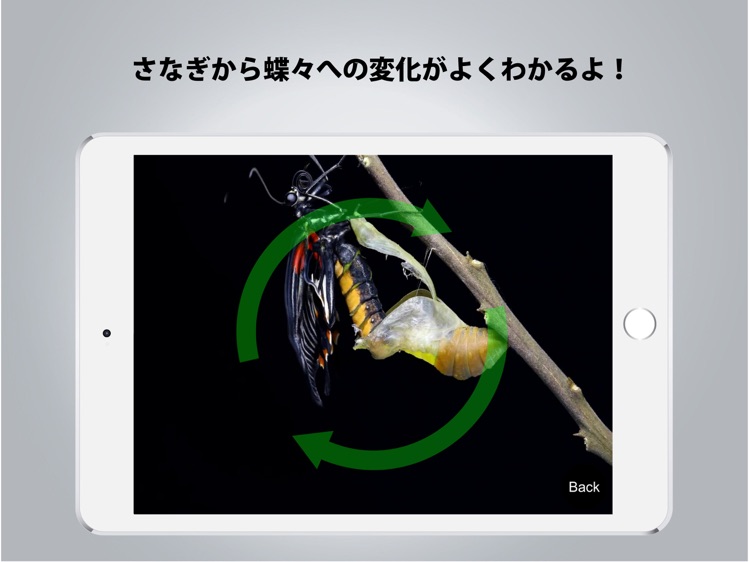 DIGICORO - TimeLapse／よ〜く見てみよう！ screenshot-3