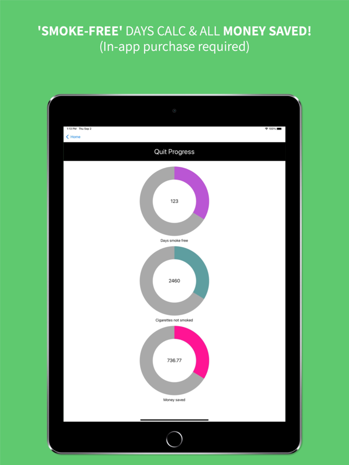 Quit Smoking NOW Max Kirsten