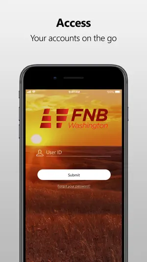 FNB Washington MB screenshot 1