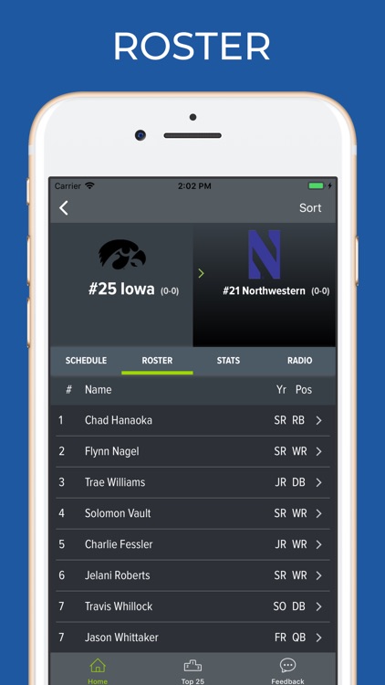 Northwestern Football