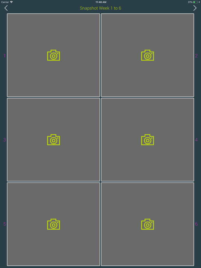 12 Weeks to Wow Weight Loss