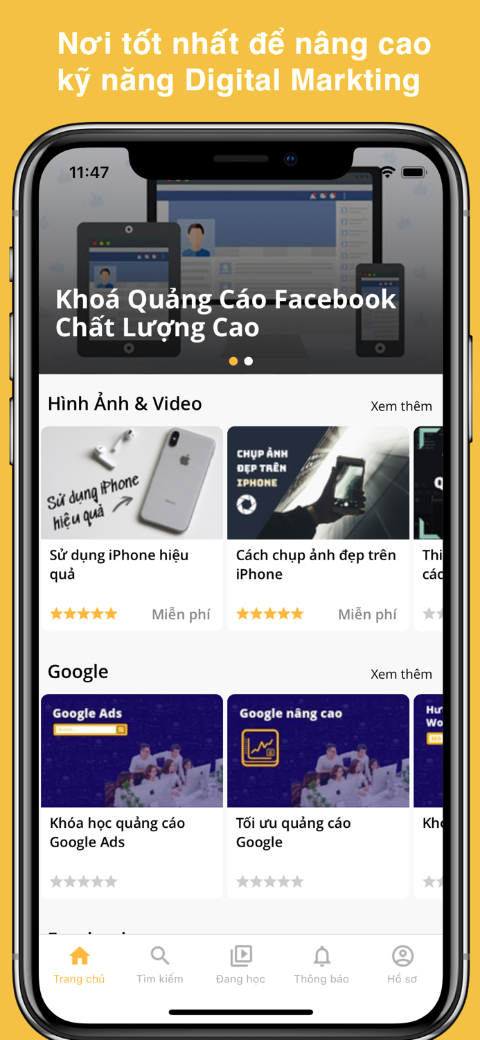 Brandee - Marketing Courses