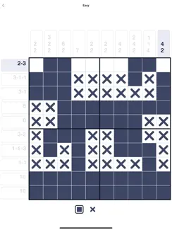 Pixel enigma nonogram iPad image 1
