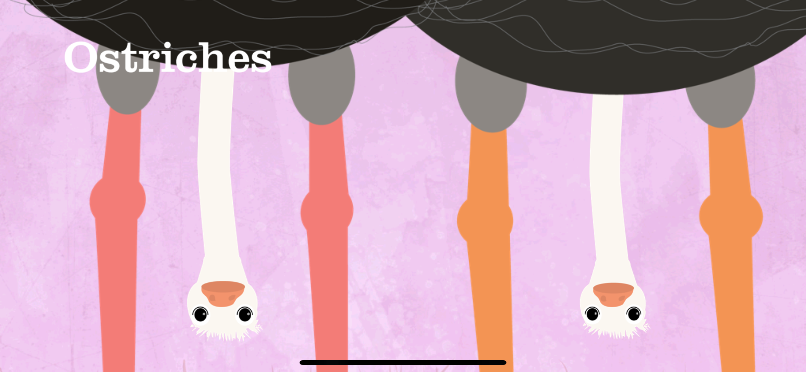 Animals Sounds: Peek-a-Zoo screenshot 7