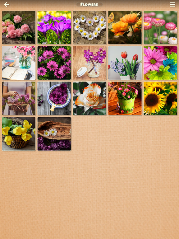 Screenshot #6 pour Puzzle Passion