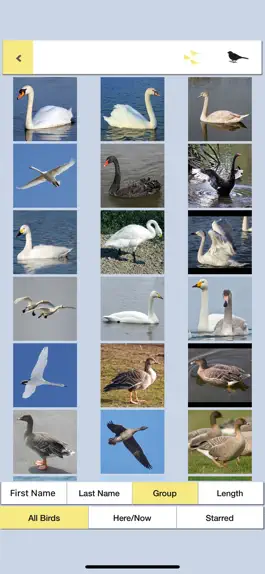 Game screenshot Birds of Britain Pocket Guide hack