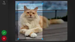 Game screenshot MyMoments.org apk