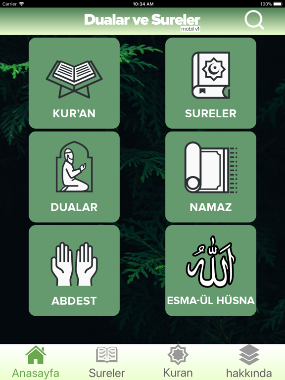 Screenshot #4 pour Dualar ve Sureler - Elifba